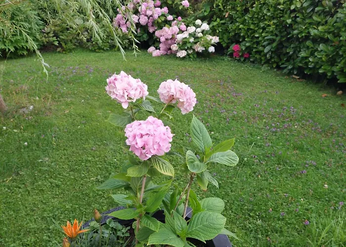 Apartamento Wintergarten *