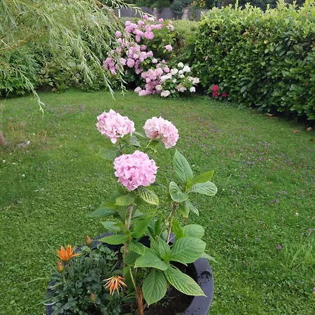 Appartement Wintergarten *